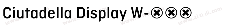 Ciutadella Display W字体转换